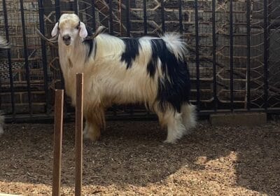 97f1aa35-dafc-4c3f-bf14-75a40582c96c