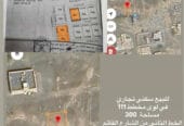 For sale 3 residential commercial lands in Liwa, Plan 111