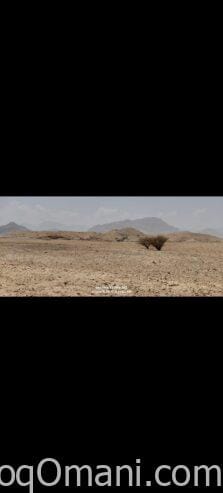 ✨ مباشرة من المالك والمالك لله✨ ✨ للبيع أرض سكنية في العامرات مدينة النهضة مربع 14/2