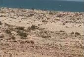 ✨Investment opportunity for sale: residential land in the Wilayat of Mahut, Ras Al Jardoud, on the beach, in a prime location.