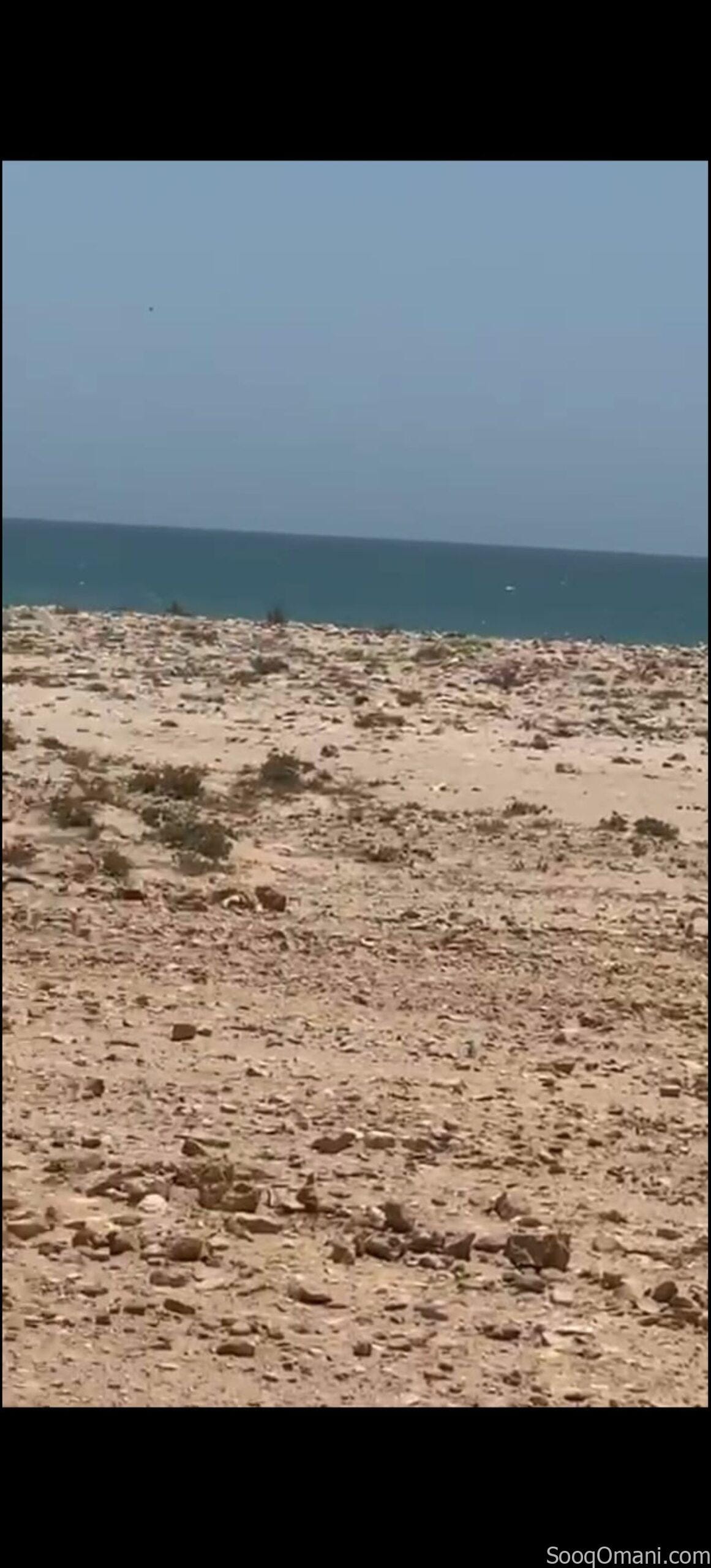 ✨Investment opportunity for sale: residential land in the Wilayat of Mahut, Ras Al Jardoud, on the beach, in a prime location.