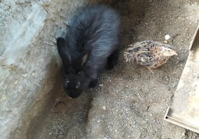 c3f89a02-fd77-4f57-ac68-122ea202c44e