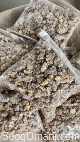 Frankincense Hojari Al-Labhor