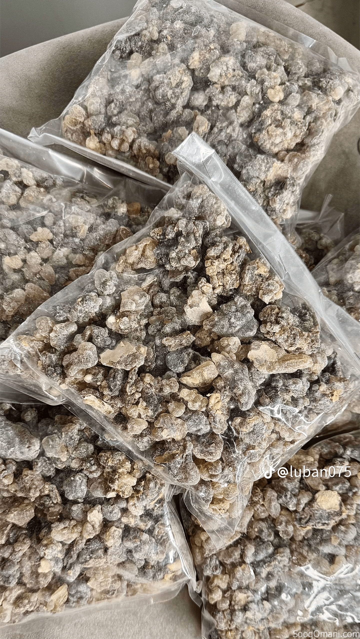 Frankincense Hojari Al-Labhor