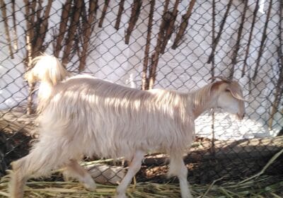 e7414399-5806-46f2-ae19-173d74efc36b