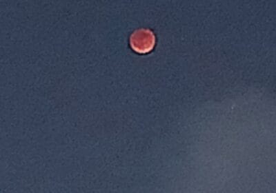 f37a1972-d5ef-4814-b51b-c7b6de2c44b9