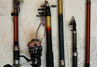 f67b29ea-ae1f-4630-9c44-e5d1311bfbfb