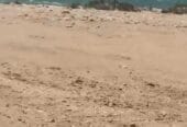 ✨Investment opportunity for sale: residential land in the Wilayat of Mahut, Ras Al Jardoud, on the beach, in a prime location.