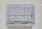 Various types of friendly parrots for sale; see description.