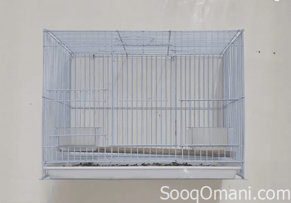 Various types of friendly parrots for sale; see description.