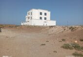 Residential land for sale in Barka, Abu Nakheel