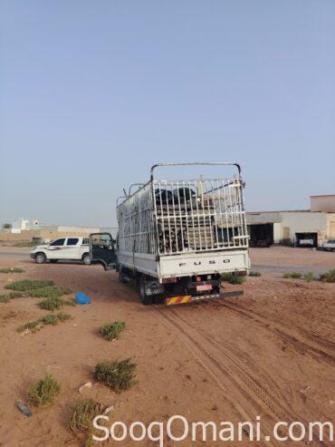 General transportation and shipping in the state of Ibri and all states