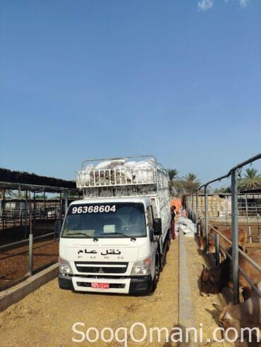 General transportation and shipping in the state of Ibri and all states