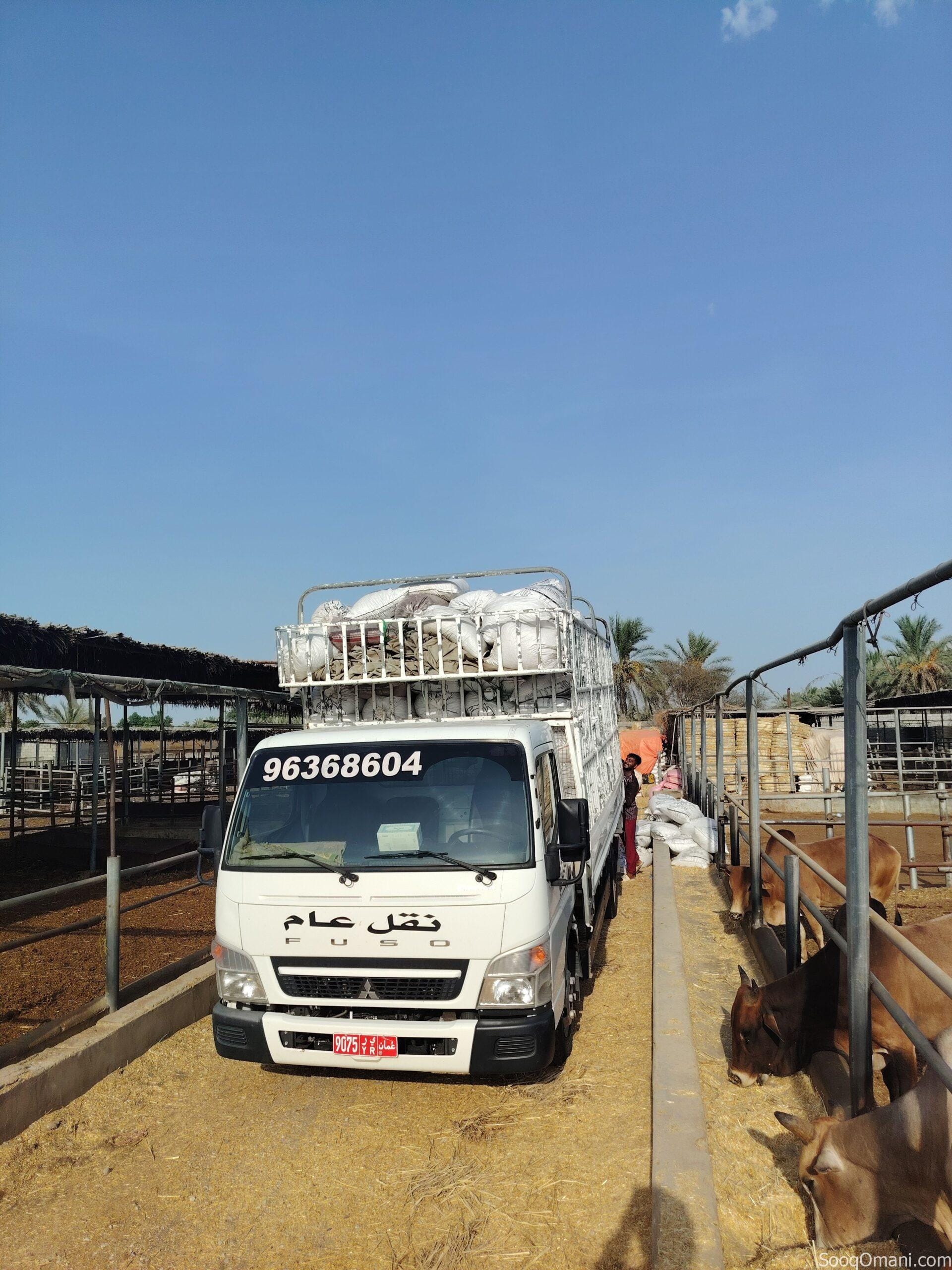 نقل عام ولاية عبري وجميع الولايات