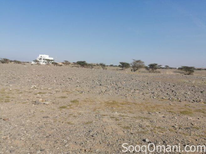 For sale residential commercial land in Barka Al Fulaij Al Maamoura