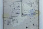 Residential land for sale in Barka, Asim neighborhood