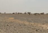 For sale residential land in Barka Al Fulaij Al Maamoura Super Corner