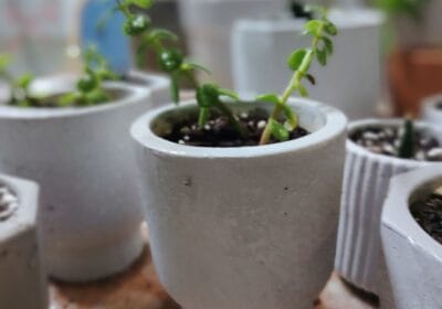 a8353e02-2e93-4a4c-8aae-ab83728405ad