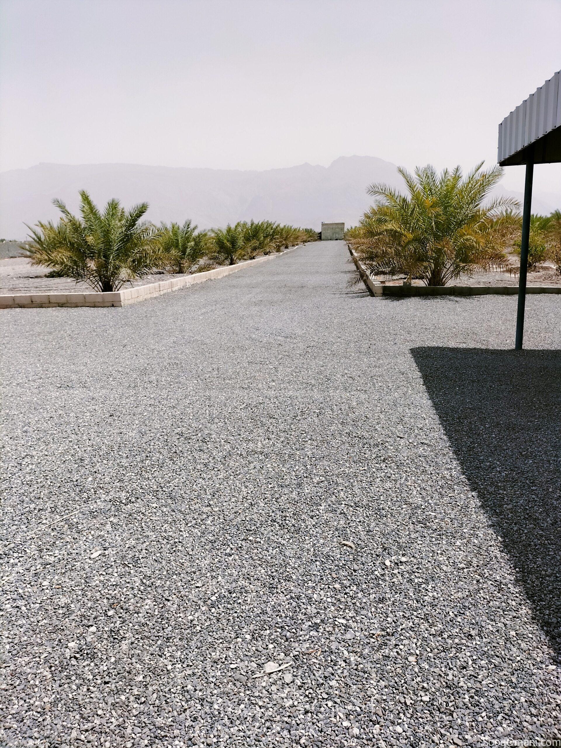 Agricultural land in Nizwa