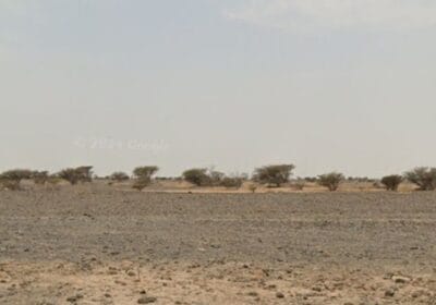 d2305269-4ca7-4648-9d84-7f46345e4167