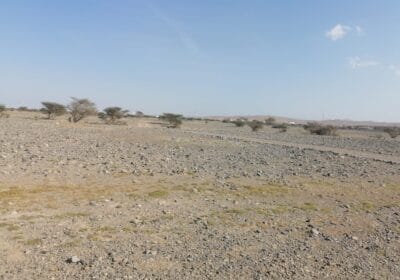 db2c66c1-60fb-41e3-bf8e-372d63e6f6d6