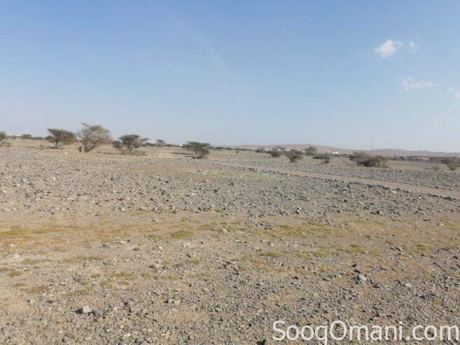 For sale residential commercial land in Barka Al Fulaij Al Maamoura