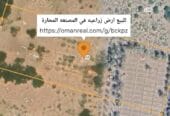 Agricultural land for sale in Al-Musannah Al-Mahara