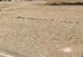 للبيع ارض سكينة في العامرات الحاجر الاولى