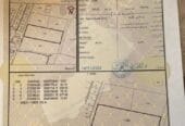 Agricultural land for sale in Al-Musannah Al-Mahara
