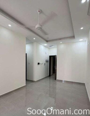 Spacious apartments for rent