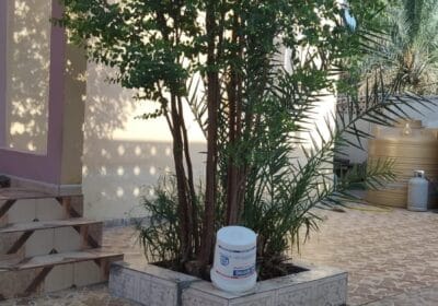 1536691a-d5f4-43c7-abbf-b48afb52d090