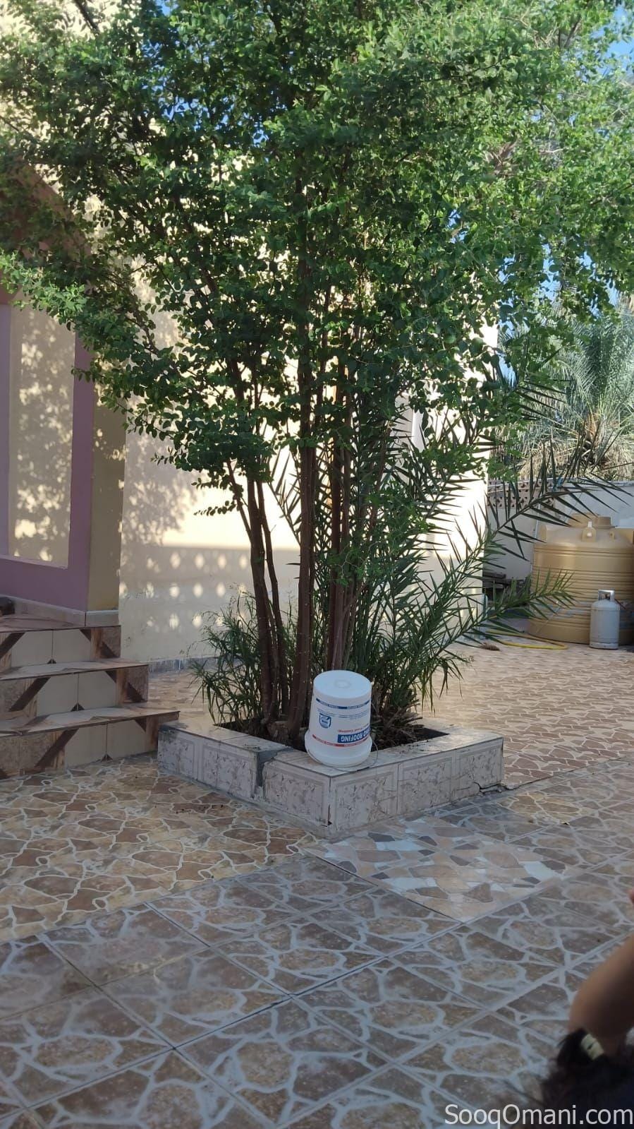 House for sale in Al-Duraiz, with a licensed well