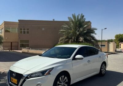 1cc13e1f-2208-46f9-8e1d-70e9fad83951