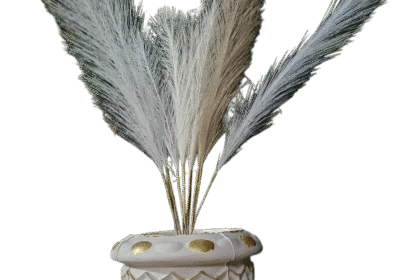 25f0e977-97d1-4e62-a1d9-626fe7aa8564