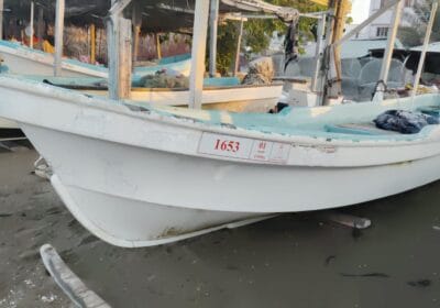 88e7f76e-3d38-4784-b83c-5a5599f6709e