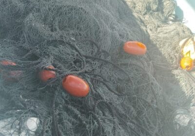 9a18257b-4c78-42de-b48d-a944c8f25aee