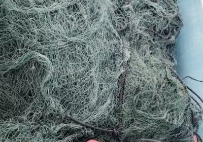 9d72dcc1-d411-49dd-b49f-ec4623268f5e