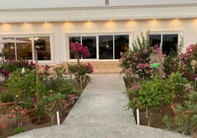 FFA6A1F0-992C-411A-9BA9-994B7712405E