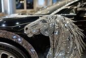 Decorate your car logo with Swarovski crystals