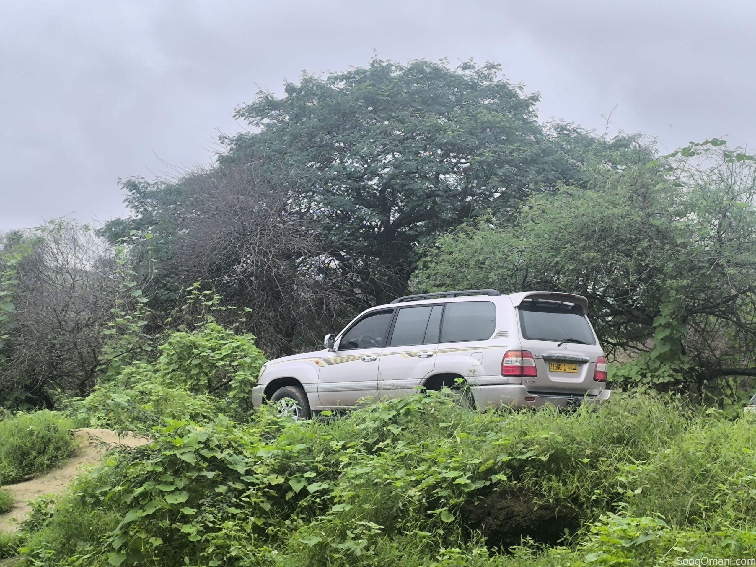 For sale: 1998 Land Cruiser, top-of-the-line import, in excellent condition. Engine, transmission, 4×4, differential lock, and sunroof all working