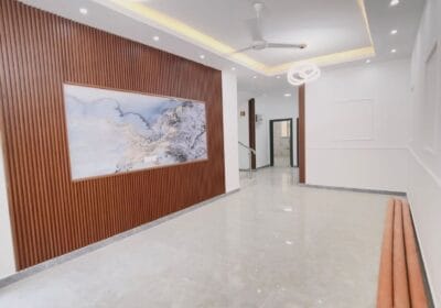 0166df31-43eb-42ee-889f-9f2b46a2f488