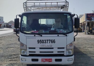 55974059-6dc9-444f-b5f0-abd1d059d278