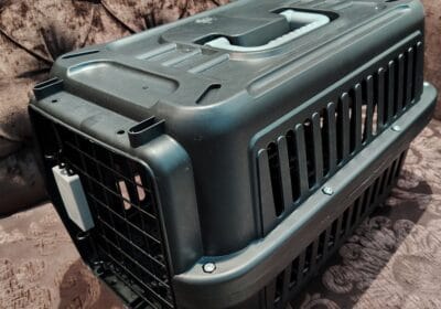 7749c332-d20a-482c-941a-7ec9dcecf074