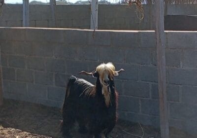 824b7ef3-4f22-4cc5-a3d0-9d09958f9248