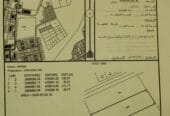 Three fenced agricultural plots for sale in Sohar, directly from the owner