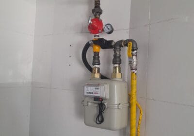 307de1a5-cfec-4294-a561-edd91c3ecda4