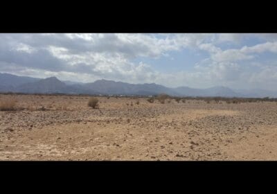 68dc6060-7e4e-40d0-834a-e77b8405b6f3