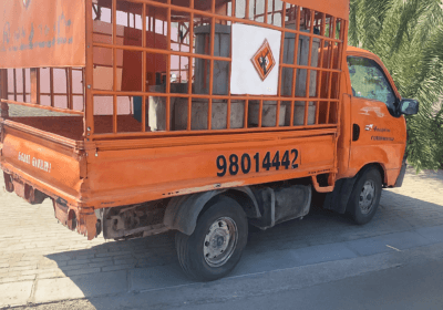 6DCAC66E-7741-4355-A2BE-BB4A21E8E4EB