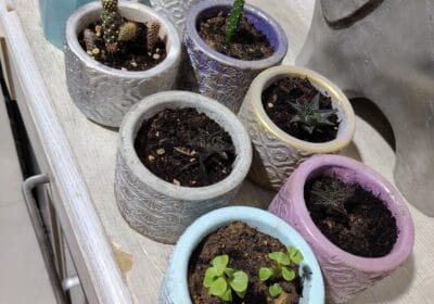 720dee9e-b86d-4a04-898e-f365473fba08