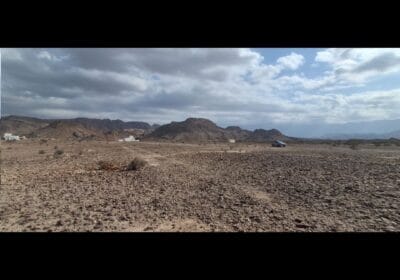 e2d786d8-b80e-4d9c-9ac0-0bb1f59e950e